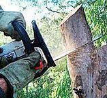 Best Firewood Processing and Delivery  in Greenville, GA