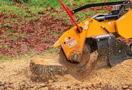 Best Weed Control  in Greenville, GA