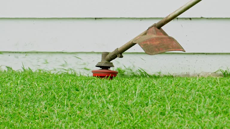 Best Tree Mulching  in Greenville, GA