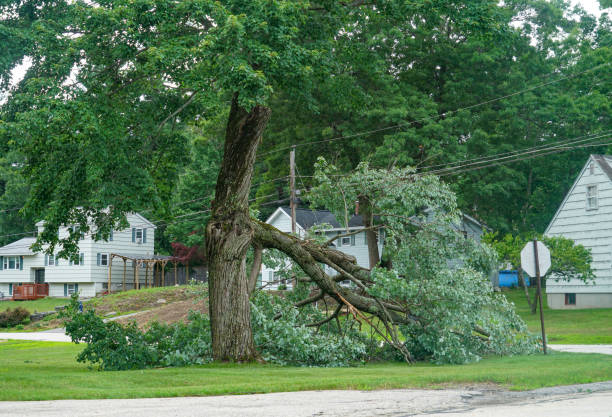 Best Utility Line Clearance  in Greenville, GA